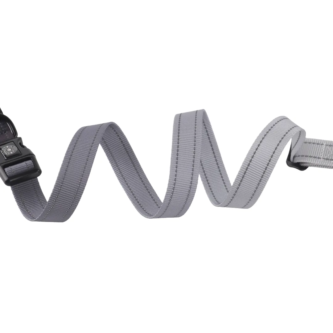 Safety, Style and Control in one lead. The 6 in 1 Reflective Lead With No Pull Technology.