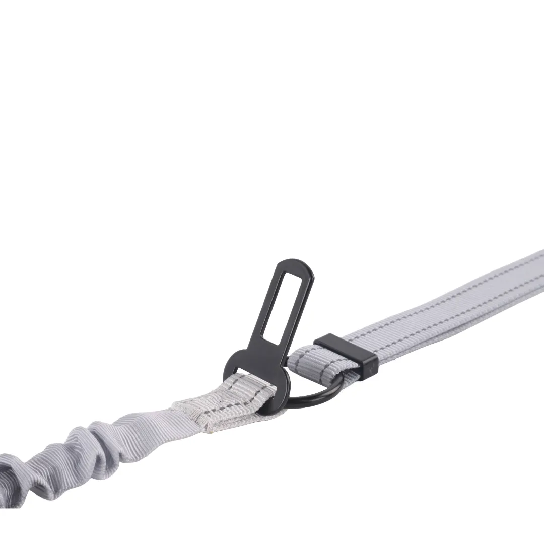 Safety, Style and Control in one lead. The 6 in 1 Reflective Lead With No Pull Technology.