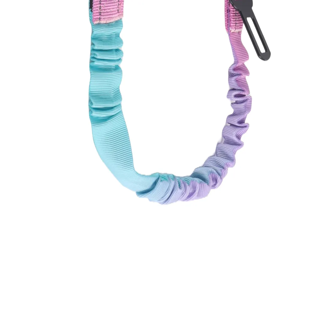 Safety, Style and Control in one lead. The 6 in 1 Reflective Lead With No Pull Technology.