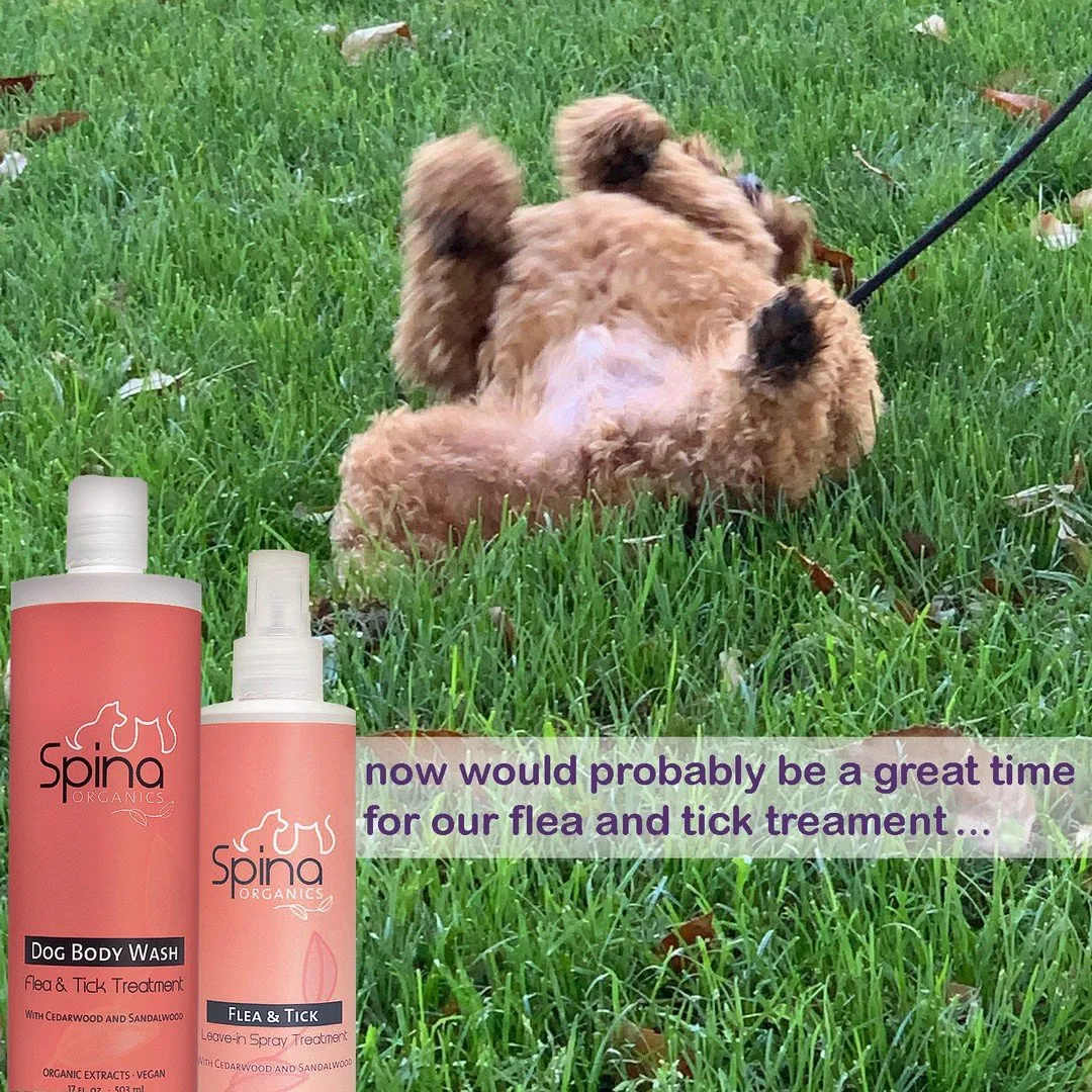 Spina Organics Flea & Tick Body Wash