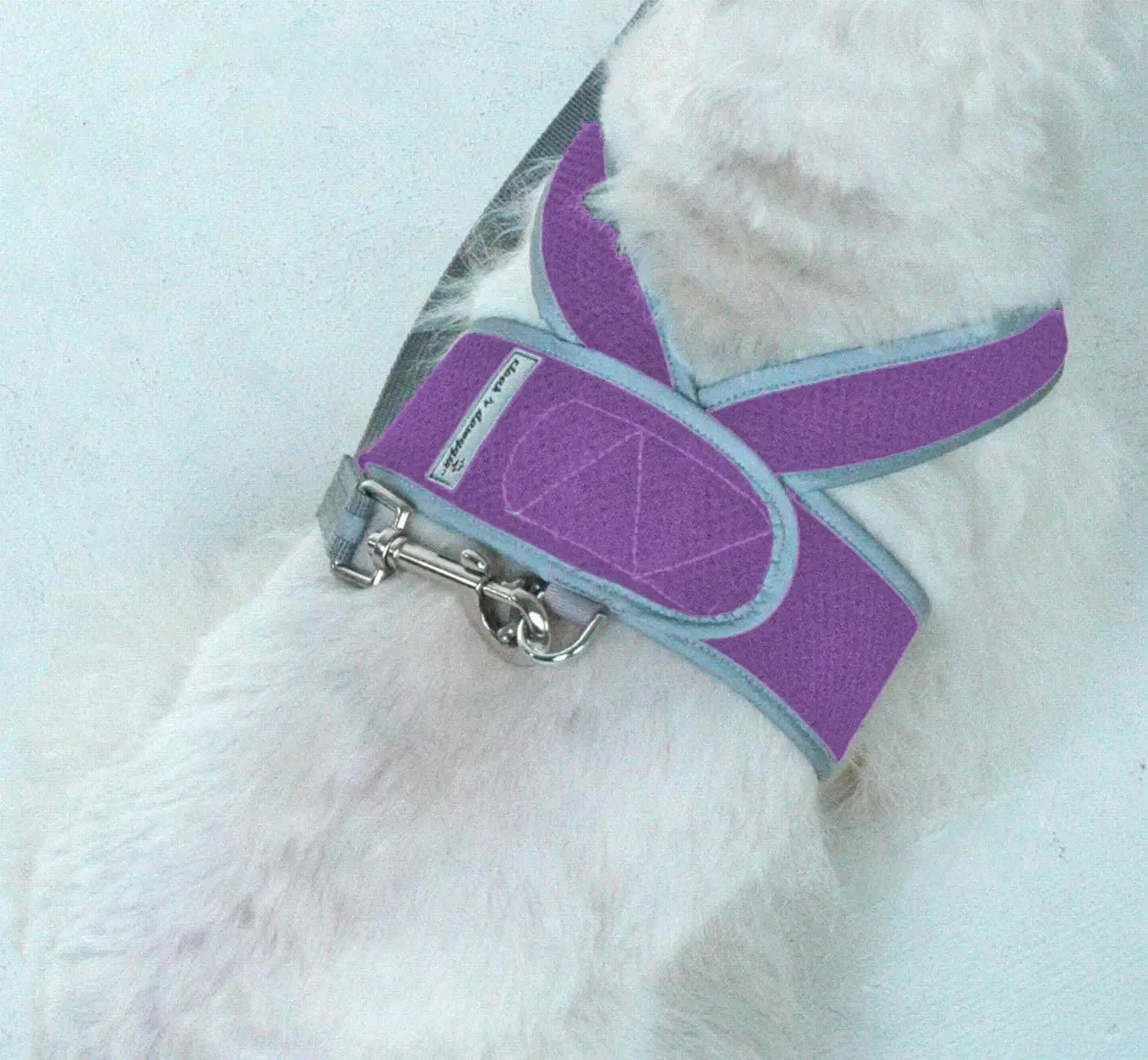 Step N Go Mesh Step In Dog Harness No Buckle - #LBS to 25LBS