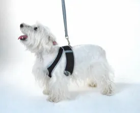 Step N Go Mesh Step In Dog Harness No Buckle - #LBS to 25LBS