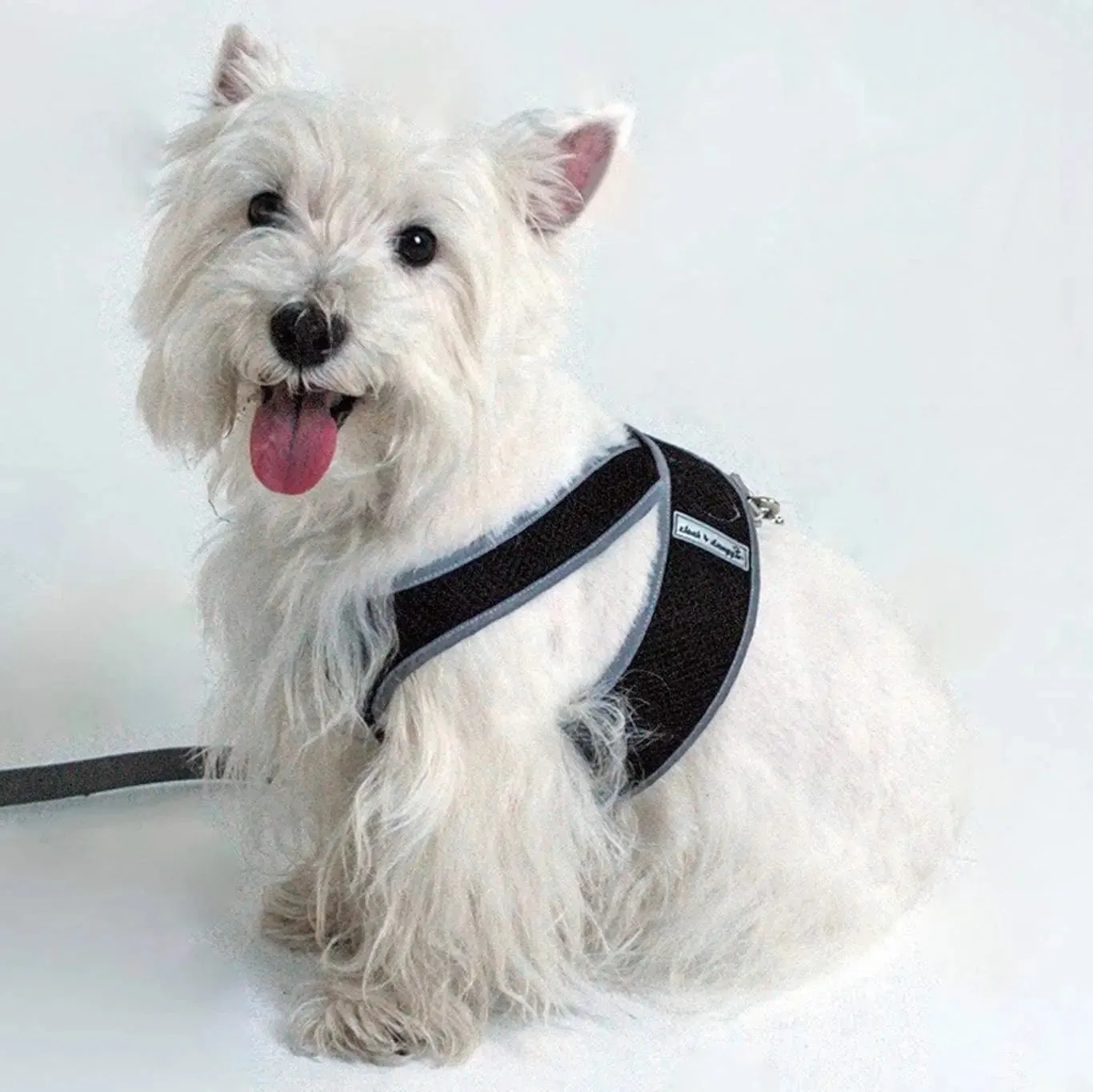 Step N Go Mesh Step In Dog Harness No Buckle - #LBS to 25LBS
