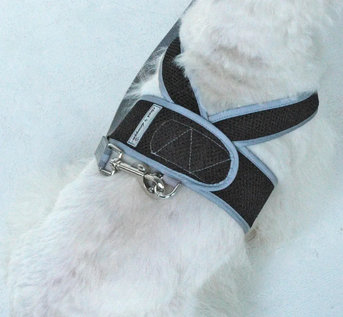 Step N Go Mesh Step In Dog Harness No Buckle - #LBS to 25LBS