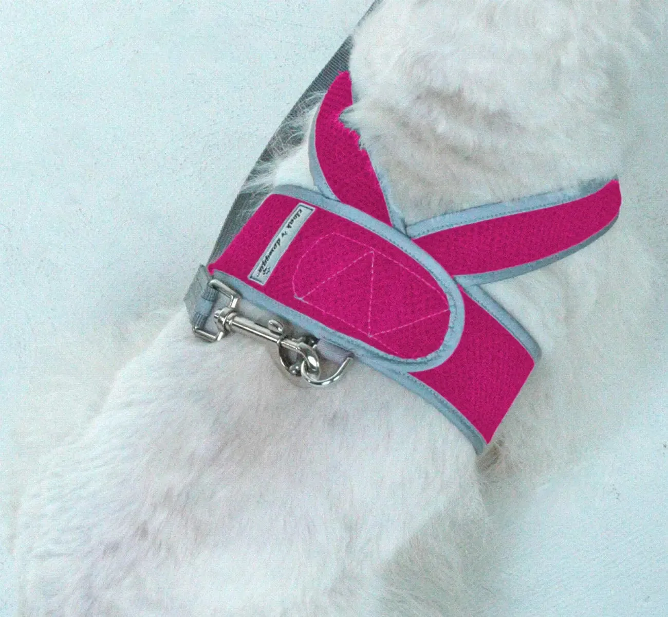 Step N Go Mesh Step In Dog Harness No Buckle - #LBS to 25LBS