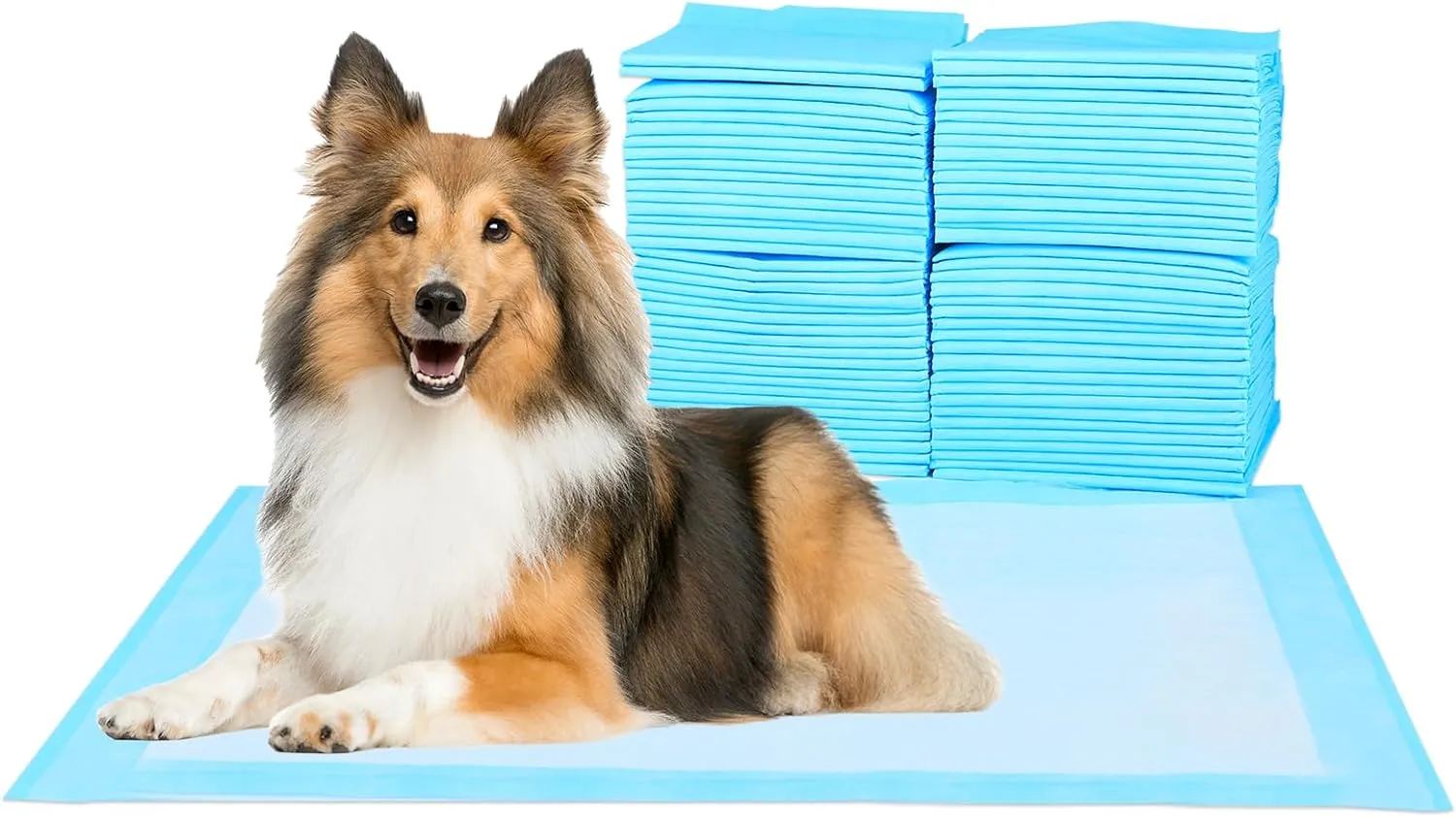 Super-Absorbent Waterproof Dog and Puppy Pet Training Pad, Housebreaking Pet Pad,Blue (23.6"x23.6" 100PCS)