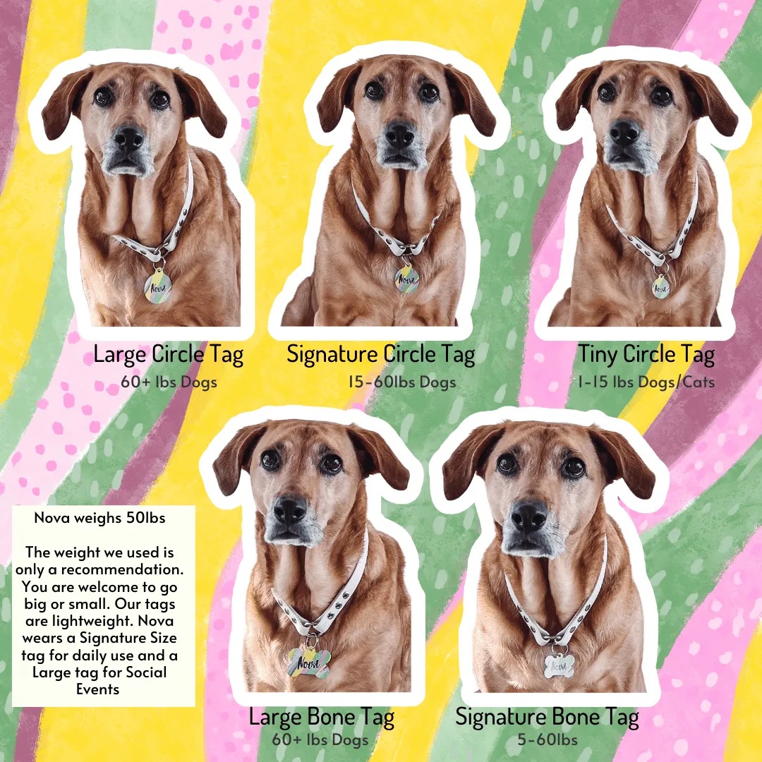 Tri Yellow Circle Pet Tag