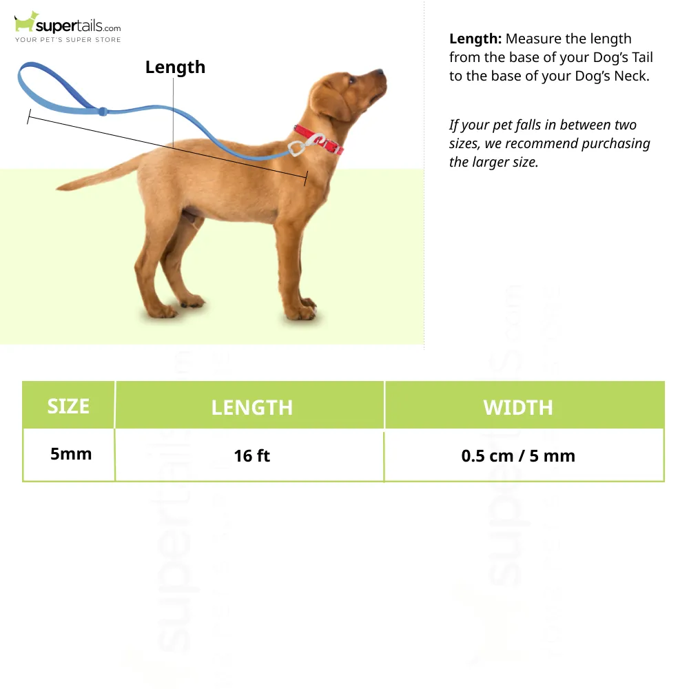 Trixie New Neon M Tape Leash for Dogs (Yellow)
