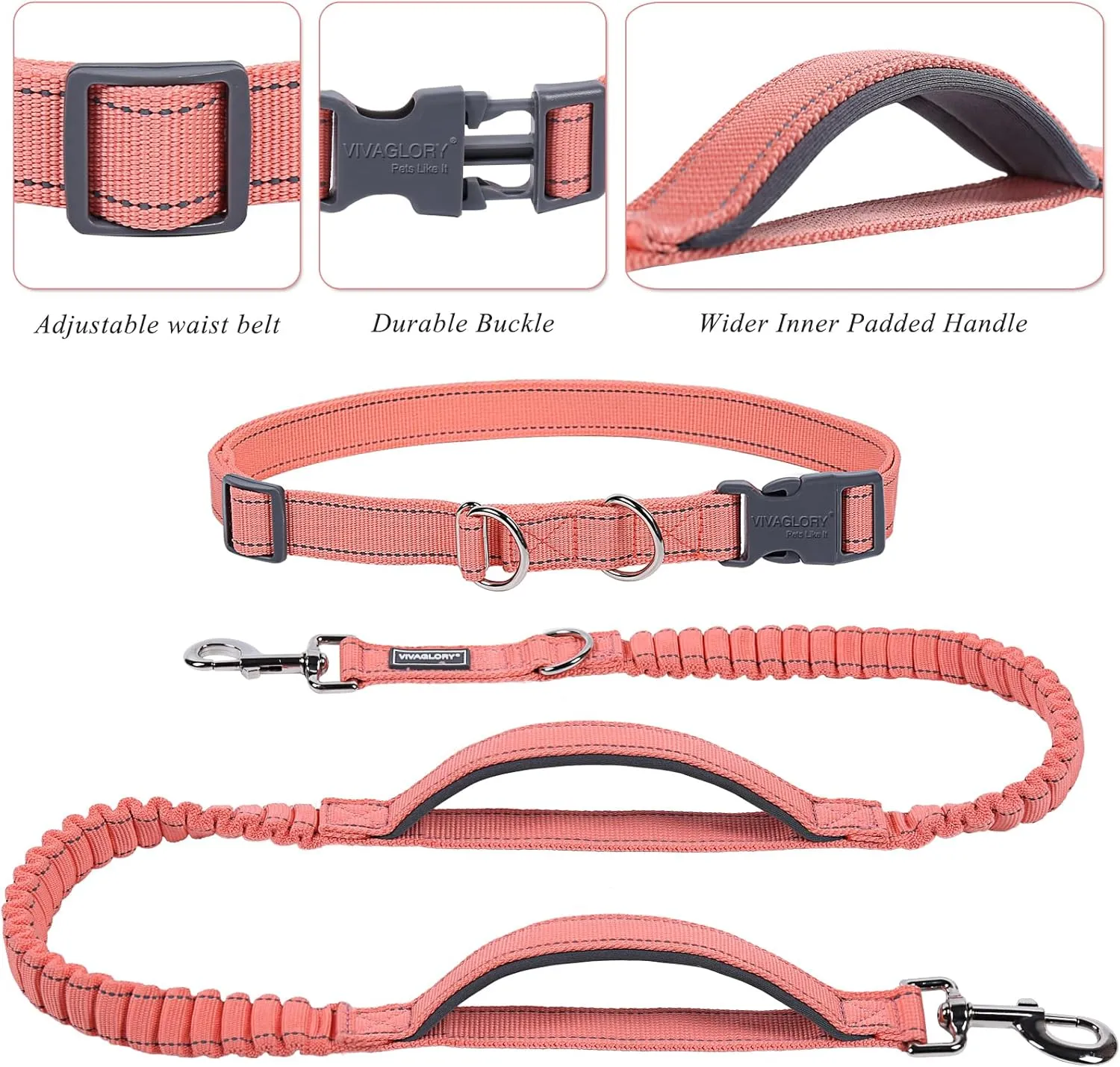 VIVAGLORY Hands Free Dog Leash with Dual Advanced Anti-Shock Bungees and Padded Handles, Reflective Waist Running Leash with Adjustable Belt for Training Jogging Medium Large Dogs