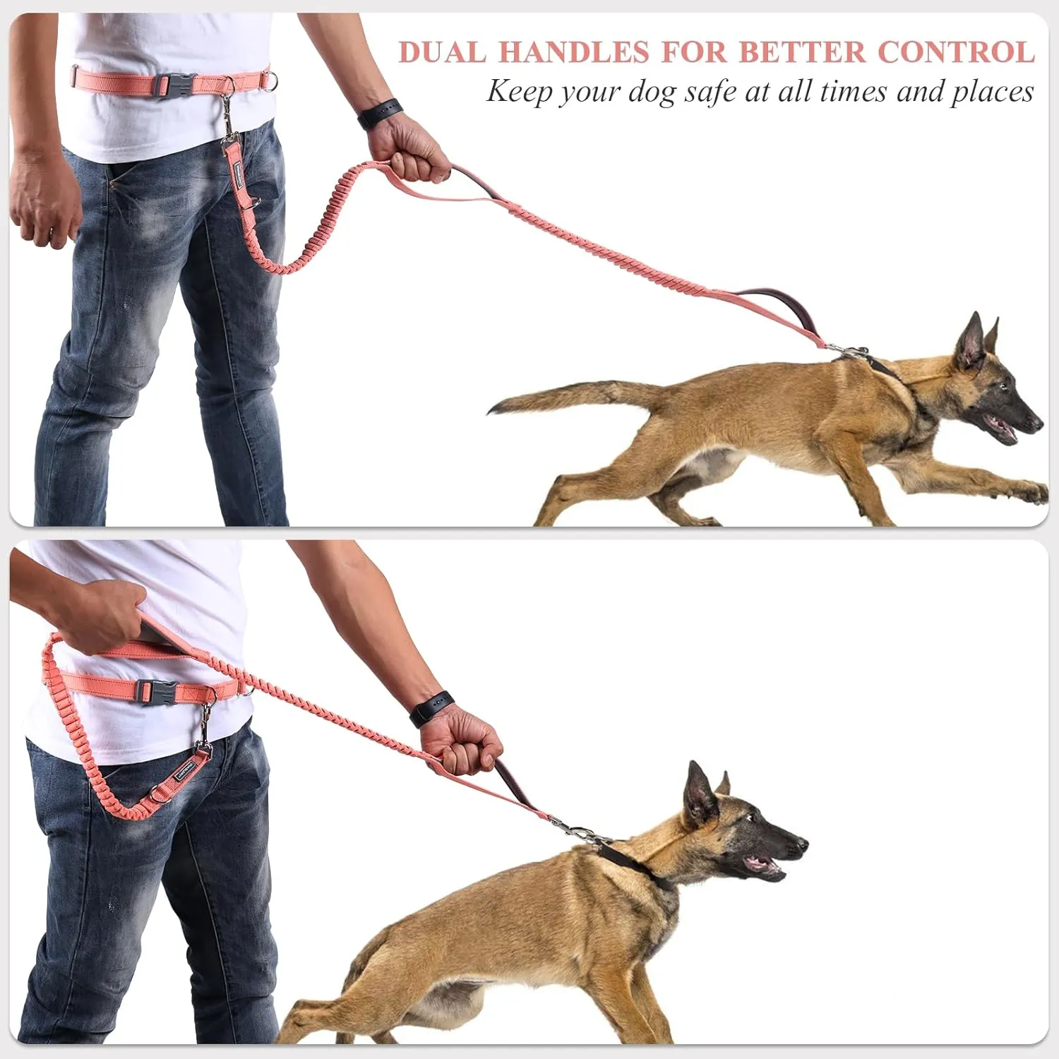 VIVAGLORY Hands Free Dog Leash with Dual Advanced Anti-Shock Bungees and Padded Handles, Reflective Waist Running Leash with Adjustable Belt for Training Jogging Medium Large Dogs