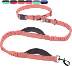 VIVAGLORY Hands Free Dog Leash with Dual Advanced Anti-Shock Bungees and Padded Handles, Reflective Waist Running Leash with Adjustable Belt for Training Jogging Medium Large Dogs