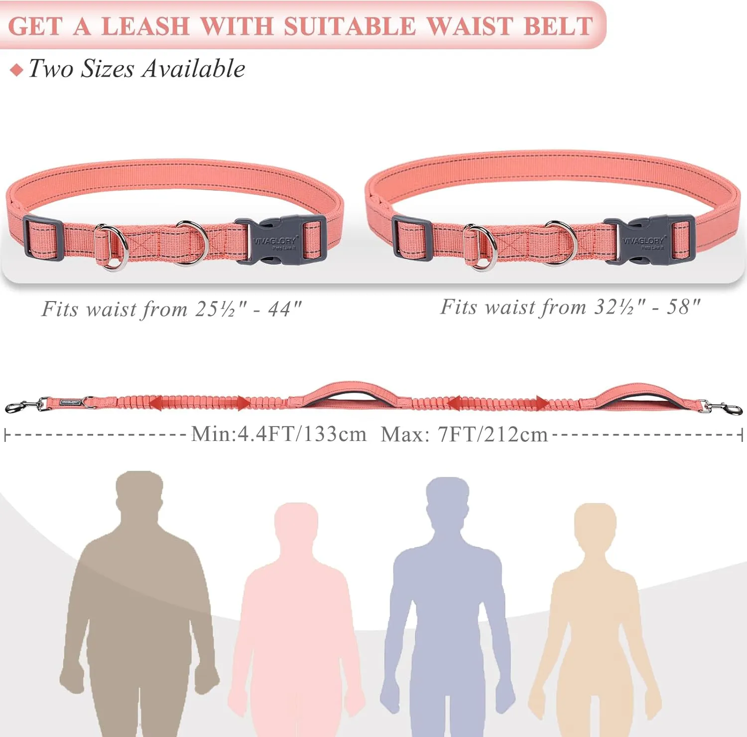 VIVAGLORY Hands Free Dog Leash with Dual Advanced Anti-Shock Bungees and Padded Handles, Reflective Waist Running Leash with Adjustable Belt for Training Jogging Medium Large Dogs