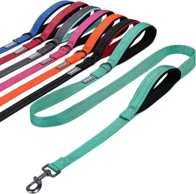 VIVAGLORY Traffic Handle Dog Leash, Two Padded Soft Handles Dog Leash, Strong Reflective & Metal Hook Training Pet Lead, Turquoise