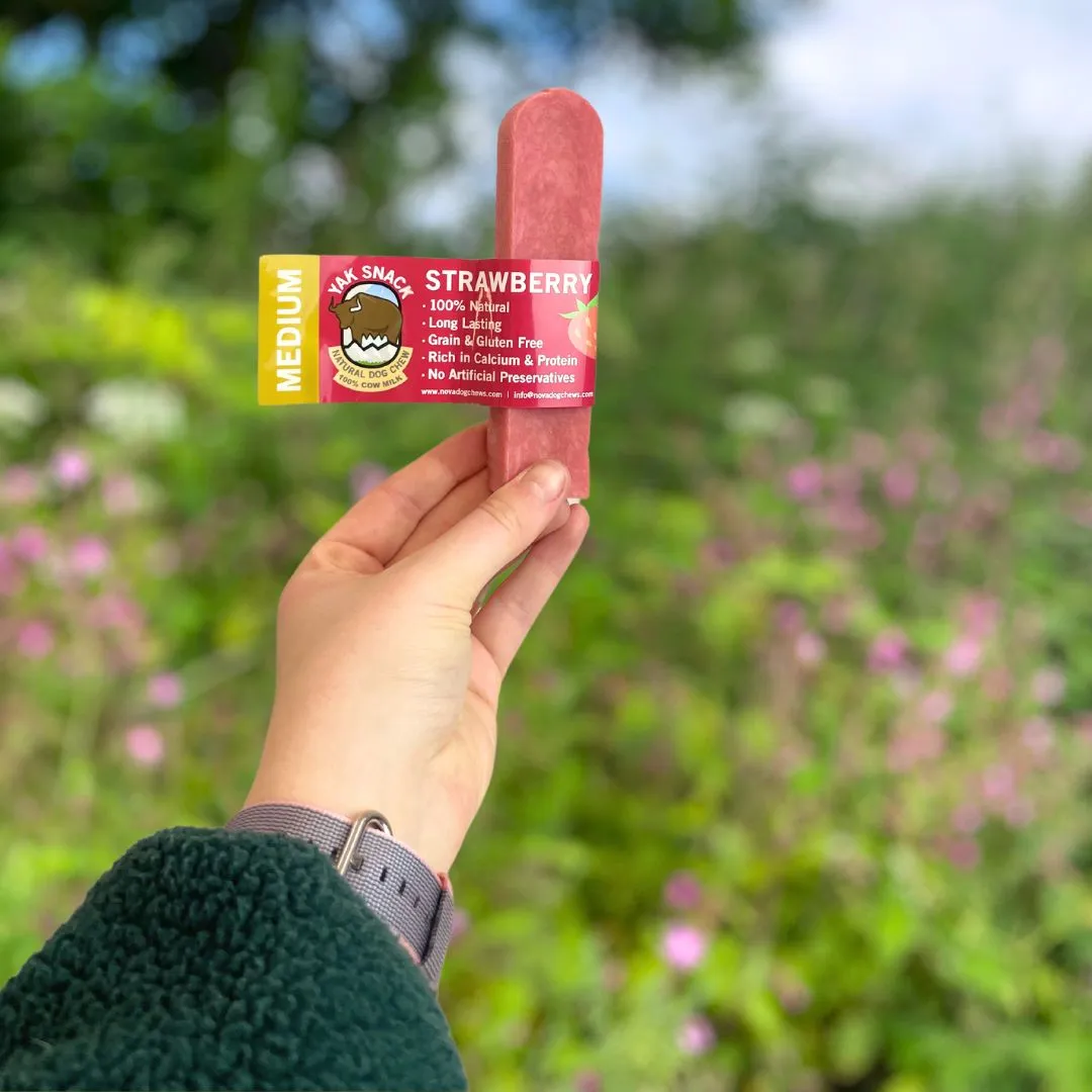 Yak Snack Strawberry Large